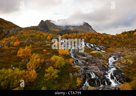 Stream running down a mountain, landscape on the Lofoten at A, Autumn, Moskenesoy, Nordland, Norway, Scandinavia, Europe Stock Photo