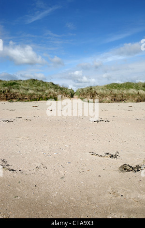 Portraine beach Ireland Stock Photo