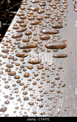 drops on a bench on the pier 39 in San Francisco , California Stock Photo