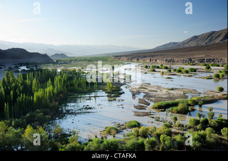 Marsh land in valley of Indus near Leh, Leh, valley of Indus, Ladakh, Jammu and Kashmir, India Stock Photo