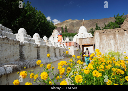 Stupas, Chorten, monastery of Alchi, Alchi, valley of Indus, Ladakh, Jammu and Kashmir, India Stock Photo