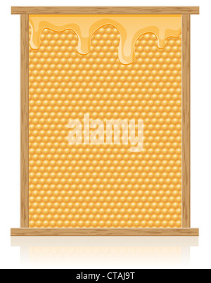 honey comb in the frame illustration isolated on white background Stock Photo