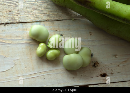 Close up image of organic broad /Fava beans out of their shell on a wooden background Stock Photo