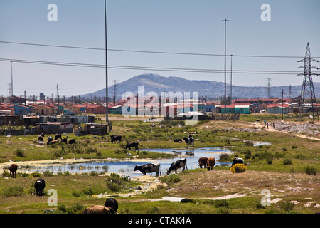 Township Khayelitsha, Cape Town, Western Cape, South Africa Stock Photo