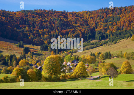 Bernau Hof in Autumn, Southern part of Black Forest, Black Forest, Baden-Wuerttemberg, Germany, Europe Stock Photo