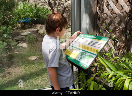 7 year-old Mexican-American boy reads information plaque at the San Antonio Texas Zoo. Stock Photo