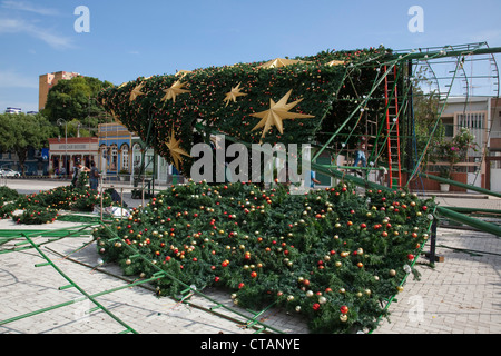 Workers set up Christmas tree and decorations on plaza opposite Theatro Amazonas Manaus opera house, Manaus, Amazonas, Brazil, S Stock Photo