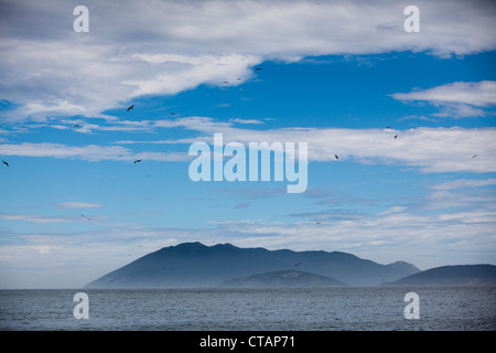 Birds and coastline, Cabo Frio, Rio de Janeiro, Brazil, South America Stock Photo