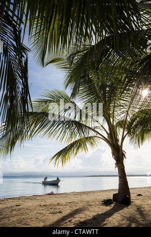 Water taxi arriving at Starfish beach on Isla Colon, Bocas del Toro, Panama. Stock Photo