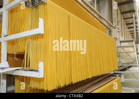 Spaghetti hung out to dry Stock Photo