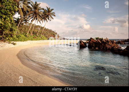 Secluded bay, Palm beach with rocks, Mirissa around Matara, Sri Lanka, Indian Ocean Stock Photo