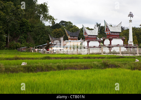 Rice fields and Batak tombs on Pulau Samosir Island in Lake Toba, Island of Sumatra, Indonesia, Southeast Asia Stock Photo