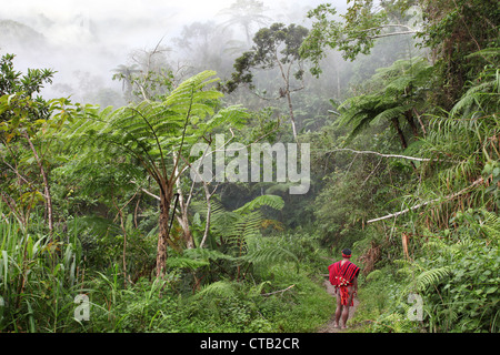 Ifugao man in traditional clothes in jungles, Banaue, Ifugao, Luzon Island, Philippines, Asia Stock Photo