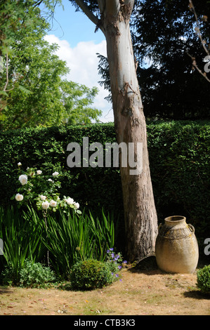 An urn in an English garden during a drought UK
