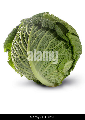 Fresh healthy looking savoy cabbage isolated on white background. Stock Photo