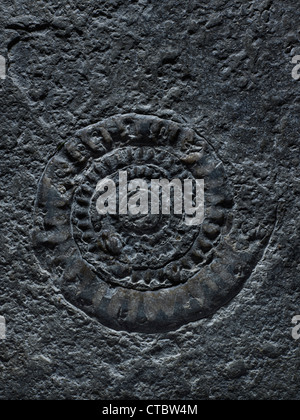 Tewkesbury Abbey ammonite fossil Stock Photo
