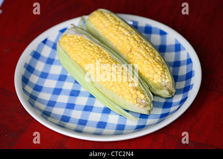 Plate with corncobs Stock Photo