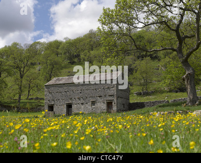 Traditional stone hay barn near Cray in summer Upper Wharfedale Yorkshire Dales National Park North Yorkshire England UK United Kingdom Great Britain Stock Photo