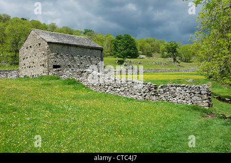 Stone hay barn near Cray in summer under grey sky Upper Wharfedale Yorkshire Dales National Park North Yorkshire England UK United Kingdom Britain Stock Photo