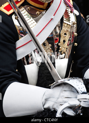 Detail of a Blues and Royals uniform and sword during ceremonial duties at Horse Guards Parade, Whitehall, London Stock Photo