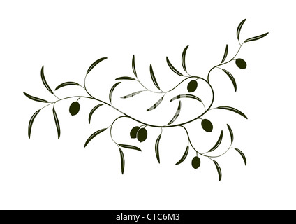 Vector illustration of simple Olive branch three with green olives ...