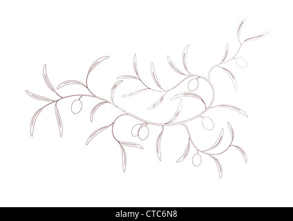 Vector illustration of simple Olive branch three with green olives ...