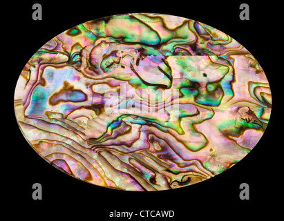 Isolated mother of pearl or nacre shell in oval shape against black Stock Photo