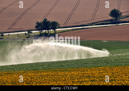 irrigation in countryside, Puy de Dome, Auvergne, France Stock Photo