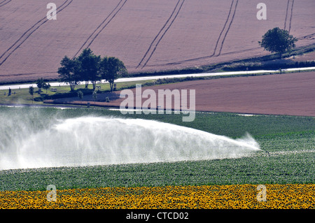 irrigation in countryside, Puy de Dome, Auvergne, France Stock Photo