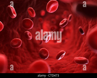 Red blood cells  artwork Stock Photo