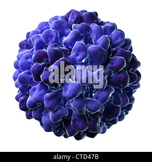 Tomato aspermy virus particle Stock Photo