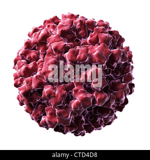 Norovirus particle Stock Photo