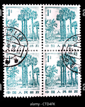 CHINA - CIRCA 1982: A stamp printed in China shows landscape in Xishuangbanna, circa 1982 Stock Photo