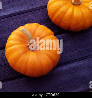 Two orange pumpkins on a blue wooden background Stock Photo