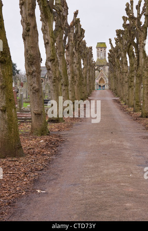 Two lines of  pruned lime trees in midwinter converging on a graveyard chapel UK Stock Photo