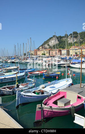 Fishing boats in Vieux Port (Old Port) Nice, Nice, Côte d'Azur, Alpes-Maritimes, Provence-Alpes-Côte d'Azur, France Stock Photo
