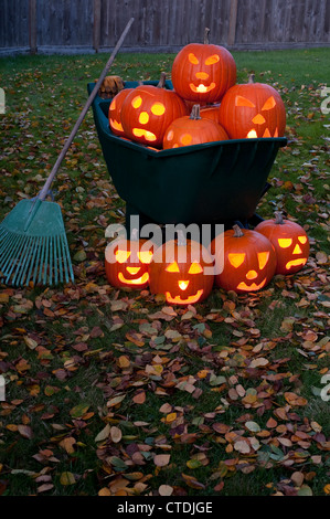 Carved and lit pumpkins on Halloween Stock Photo - Alamy