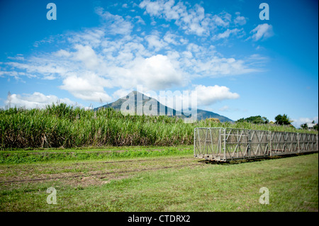 Harvested sugar cane in transport bins at Gordonvale near Cairns in North Queensland, Australia Stock Photo