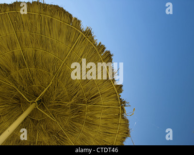 Under a Palapa in Tunisia. Stock Photo