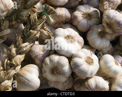 Many fresh healthy garlics in a traditional market for cooking. Stock Photo