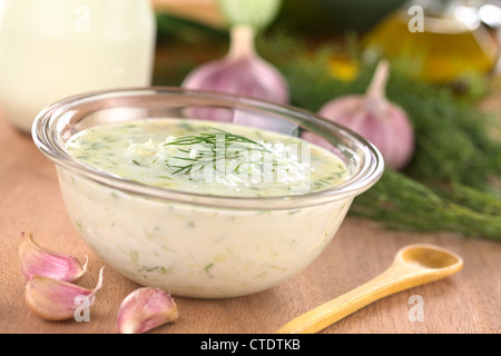 Tzatziki, a Greek and Turkish sauce, made of yoghurt, cucumber, garlic, olive oil and dill Stock Photo