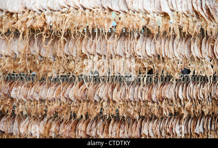 Dried squid ready to eat in Thailand Stock Photo