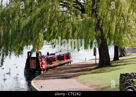 Narrow boat moored under a willow tree in Windsor Stock Photo