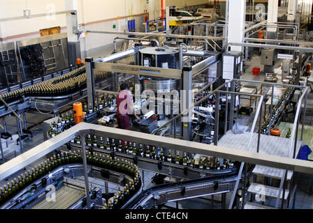 Bergkelder wine visitors centre and bottling plant, Cape Winelands, Stellenbosch, Western Cape, South Africa Stock Photo