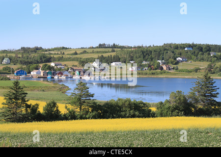 Summer landscape with rapeseed fields and fishing pier with boats in central Prince Edward Island, Canada Stock Photo
