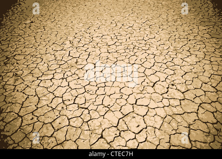 Badly cracked earth under a scorching sun Stock Photo