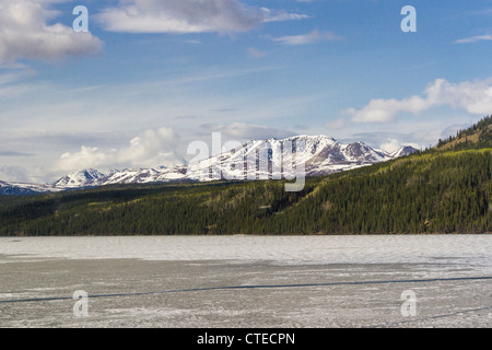 'Fox Lake' still partially frozen, on the Yukon River in Yukon Territory in Canada. Stock Photo