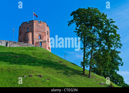 Upper Castle Gediminas Hill Vilnius Lithuania Stock Photo