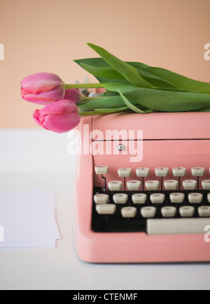 Pink typewriter and tulips Stock Photo