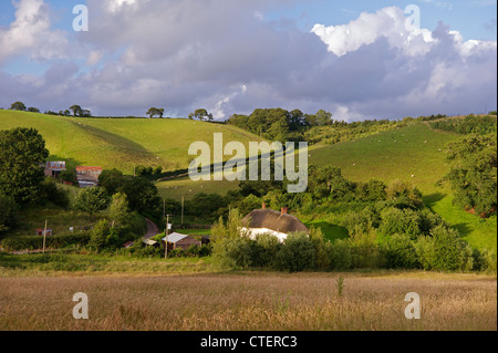 Countryside near Crediton Mid Devon UK Stock Photo